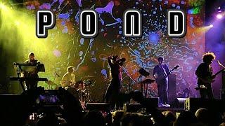 Pond - Full Performance - Live @ Desert Daze 2022