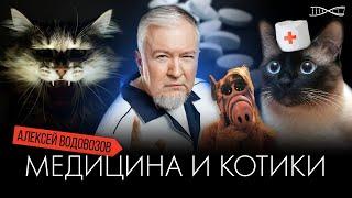 Алексей Водовозов. Медицина и котики