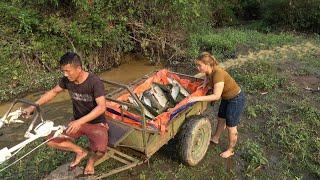 Use Pump Drain Water Catch Fish - Catch Fish Puddles In Flood Season