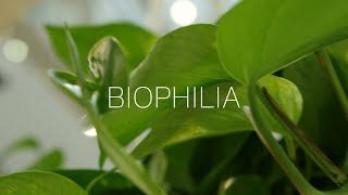 BIOPHILIA