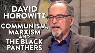 On Communism, Marxism, & the Black Panther Party (Pt. 1) | David Horowitz | POLITICS | Rubin Report