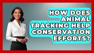 How Does Animal Tracking Help Conservation Efforts? | The Wild Life Explorer