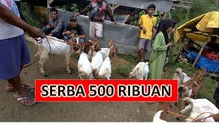 HARGA KAMBING HARI INI - PASAR WAGE VIRAL