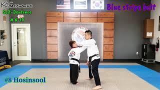 Self Defence (KT Taekwondo Hosinsool# 6~10) Green stripe~Red stripe belt