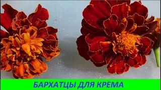 БАРХАТЦЫ ДЛЯ КРЕМА № 97