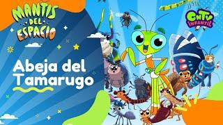 Abeja del Tamarugo - Mantis del espacio