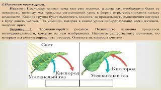 Разбор урока по биологии для 5 класса по теме "Жизнедеятельность организмов"