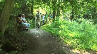 Premiumwanderweg Sagenhaftes Schächerbachtal in Homberg (Ohm)