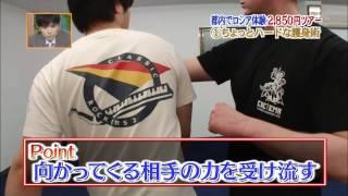 Systema Japan TV