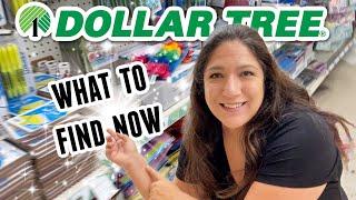 What to FIND NOW at DOLLAR TREE