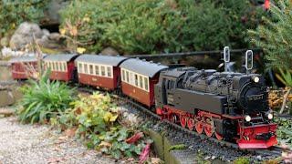 LGB Aster Brockenlok      #gardenrailway #gartenbahn #modeltrains