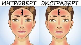 Странный тест на истинный психотип за 5 секунд! Это правда! Психология