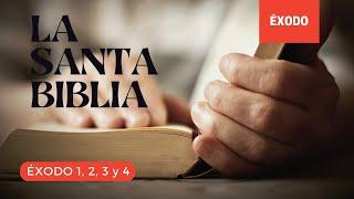 ÉXODO 1, 2, 3, 4 (DÍA 17) LA SANTA BIBLIA || Biblia hablada ||