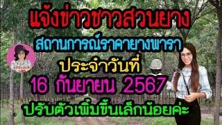 แจ้งข่าวชาวสวนยาง ราคายางพาราประจำวันที่ 16 กันยายน 2567