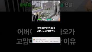 어버이날에 러바오가 고맙다고 인사했던 이유 #SHORTS