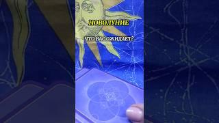 Новолуние - как повлияет?!Луна Солнце встречаем мощные изменения #татьянафедоровна #предсказание