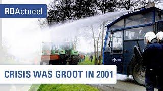 Uitleg: Hoe zat het met mkz-crisis in Kootwijkerbroek? - RD