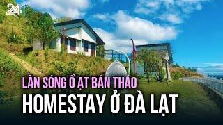 Làn sóng ồ ạt bán tháo homestay ở Đà Lạt | VTV24