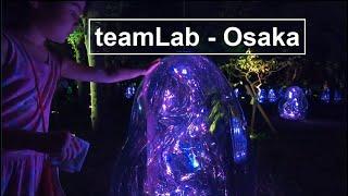 teamLab, Osaka, Nagai Botanical Garden - 「チームラボ ボタニカルガーデン 大阪」