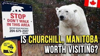 The Polar Bear Capital of the World!  (Exploring Churchill, Manitoba & the Hudson Bay coastline) 