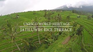 Exploring The Breathtaking View of Jatiluwih Village, Tabanan - Bali