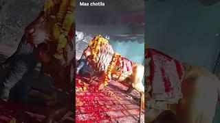 Maa chotila temple and golden lion  are beautiful place #shorts# lion#maa chotila #salans come in