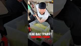 Сушисты ТРАВЯТ вас ВАСАБИ в доставке роллов! Это, вам никто не расскажет!  Артикул: #254582113