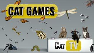 CAT Games | Ultimate Cat TV Bugs and Butterflies Compilation Vol 3 🪲  | Videos For Cats to Watch