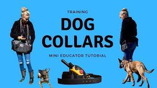 Dog collars for training