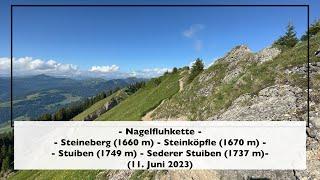 Nagelfluhkette [Steineberg - Stuiben - Sederer Stuiben] (11. Juni 2023)