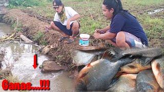 Mancing IKAN MONSTER KELAPARAN  || Tiap Lempar Umpan Langsung Di Sambar