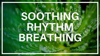 Soothing Rhythm Breathing - Compassion Focused Therapy Exercise #LewisPsychology