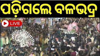 Adapa Bije Live : ରଥରୁ ପଡ଼ିଗଲେ ମହାପ୍ରଭୁ | Rath Yatra 2024 | Puri Jagannath Temple | Odia News