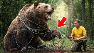 Ein 1000 Pfund Bär flehte verzweifelt um Hilfe – Die Reaktion des Rangers war unglaublich!