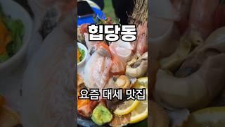 #신당동맛집 원하면 바로여기 #마케집 신선하고 고소한 막회와 숙성회 최고