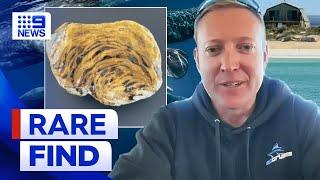 South Australian man finds rare treasure worth ‘as much as gold’ | 9 News Australia