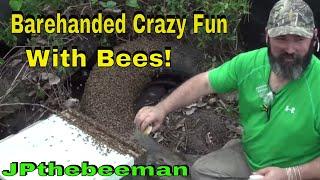 Honey Bees Removed From Truck Tire (Barehanded!)