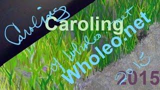 Caroling of Wholeo.net 2015