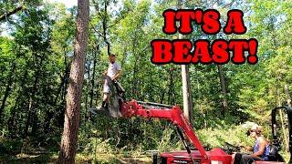 THE FALLING OF A BEAST. Farm, tiny house, homesteading, RV life, RV living|