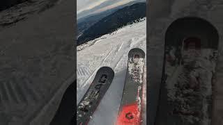 The tiger of the slopes