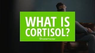 What is Cortisol? How Does it Lead to Burnout?