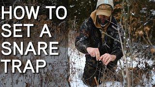 Snare Trapping For Coyotes And Game Animals | How To Set Snare Traps