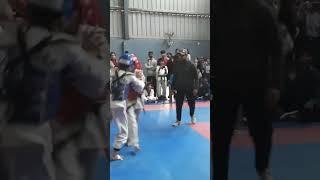 Taekwondo Kicks (Back to Back Spin Kicks)