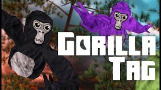 live gorilla tag fan codes