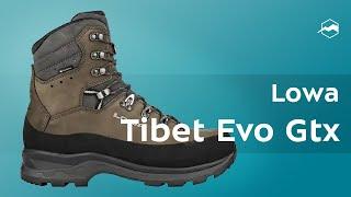 Ботинки Lowa Tibet Evo Gtx. Обзор