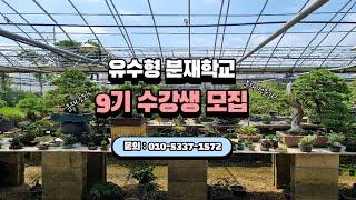 니들이 분재를 알아? 모르면 배워야지... #유수형분재학교 9기모집중/ 010-5337-1572 #분재수업 #분재강의 #분재교육 #분재교실 #분재실습 #분재원 #분재클래쓰 #분재