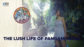 See Indonesia: The Lush Life Of Pangandaran