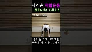 파킨슨 재활운동 - 몸통&허리강화운동#파킨슨병 #올바른재활운동 #방문재활