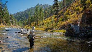 Hundreds Drive by this Blue Ribbon Trout Stream - (Fly Fishing for Trout)