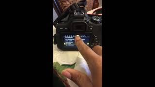 How to connect your Canon EOS rebel T6i to your computer